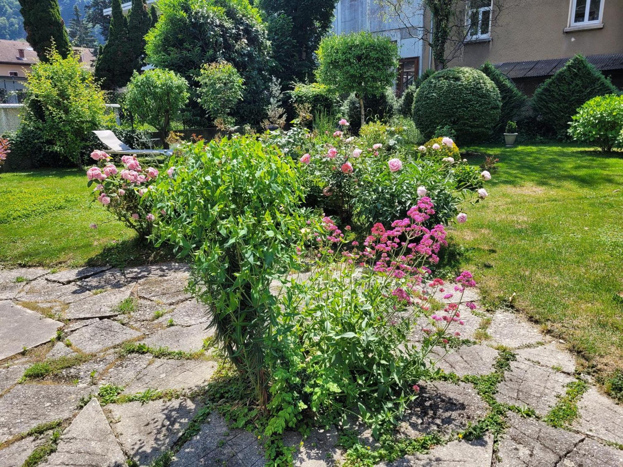 Appartement Les Colibris - Standing Et Jardin - 3 Etoiles à Cluses Extérieur photo